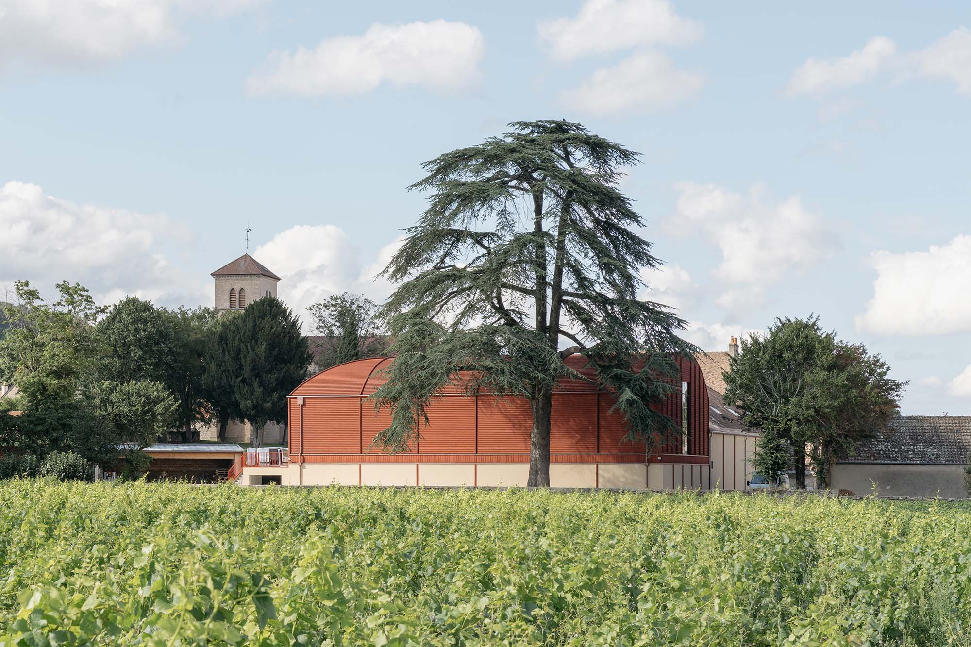 Vue de la cuverie depuis les vignes en face. Le grand cèdre devant la cuverie, constrate avec le bardage rouge des façades.